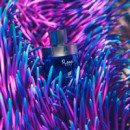 Rare Reef Extrait de Parfum  AFNAN