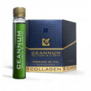 Actafarma Ceannum Colágeno &amp Elastina 10 Vial  ACTA FARMA