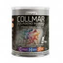Collmar Colageno +magnesio Vainilla 300GR  DRASANVI