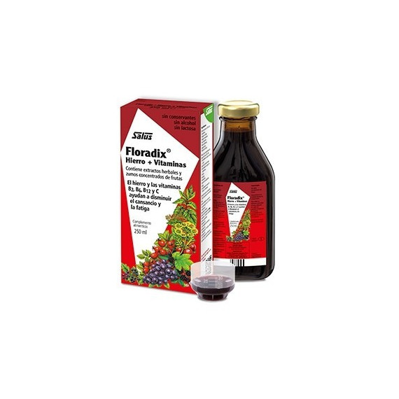 SALUS Floradix Hierro  Vitaminas 250 Ml