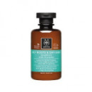 APIVITA Champú Equilibrante Raíz Grasa y Puntas