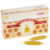 ROBIS Jalea Real Reina Real Super 20 Amp