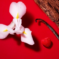 Si Passione Red Bloom  ARMANI