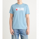 Camiseta CALVIN KLEIN Redbox Azul