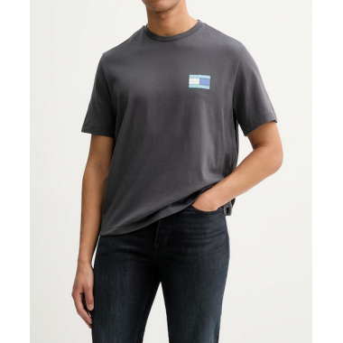 Camiseta TOMMY JEANS Gris Logo Espalda