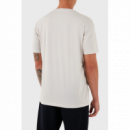 Camiseta ARMANI EXCHANGE Gris Claro