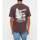 Camiseta TOMMY JEANS Novelty Tee Rich Brown