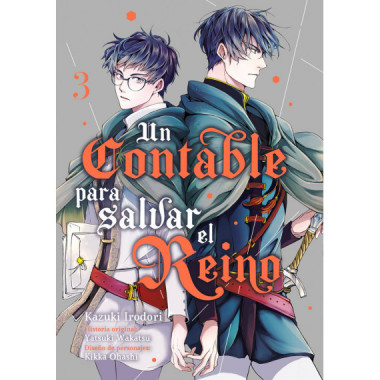 UN CONTABLE PARA SALVAR EL REINO, VOL. 3