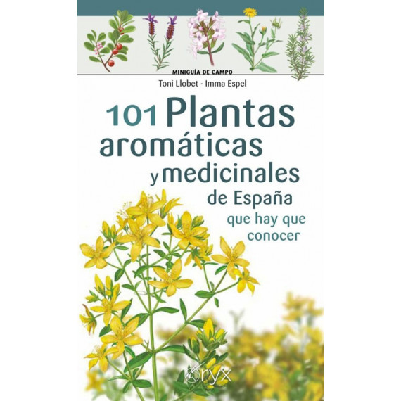 101 Plantas Aromaticas y Medicinales de Espa�a que Hay que C   2024