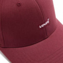 Gorra Housemark Flexfit