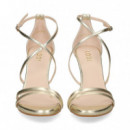 Empeine Cruzado 2 Tiras Platino  LODI