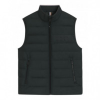 BOSS - H-cenito - 348 - 50518375/348