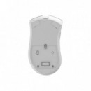 RATON PHOENIX GAMING VOID ELITE WIRELESS RGB 19000