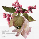 Hermes Twilly D'hermes Eau Poivree Eau de Parfum  HERMÈS