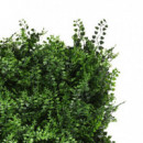 Jardin Vertical Serie Fern DONNA GARDEN 50X50 Cm