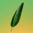 Eternity For Men  CALVIN KLEIN