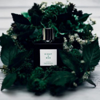 Champs de Provence  EIGHT & BOB