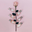 Annicke 3  EIGHT & BOB