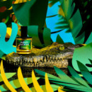 Jazmin Yucatan  D.S. & DURGA