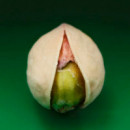 Pistachio  D.S. & DURGA