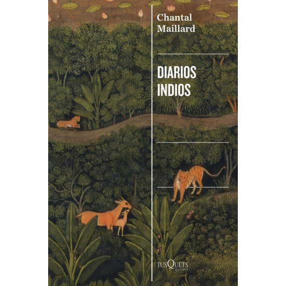 Diarios Indios   2025