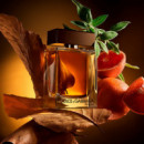 The One For Men Estuche