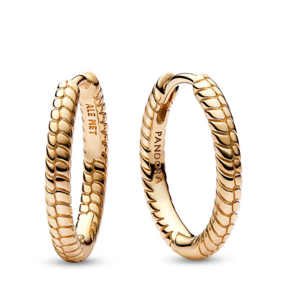 PANDORA  Pendientes de Aro PANDORA Moments para Charm Pequeños 262728C00