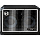 CAJA SWR WORKING PRO 2X10