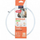 ZOLUX perro collar luminoso transparente azul