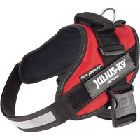 JULIUS K9 Idc Rojo Talla 0 58-76 Cm