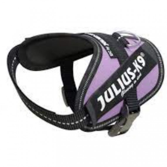 JULIUS K9 Idc Lila Talla Baby 2 33-45 Cm