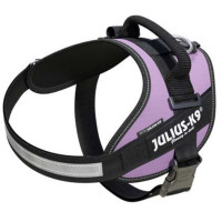 JULIUS K9 Idc Lila Talla 0 58-76 Cm