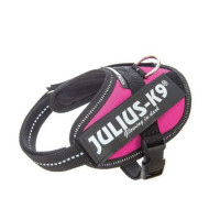 JULIUS K9 Idc Fucsia Talla Baby 2 33-45 Cm