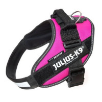 JULIUS K9 Idc Fucsia Talla 1 63-85 Cm