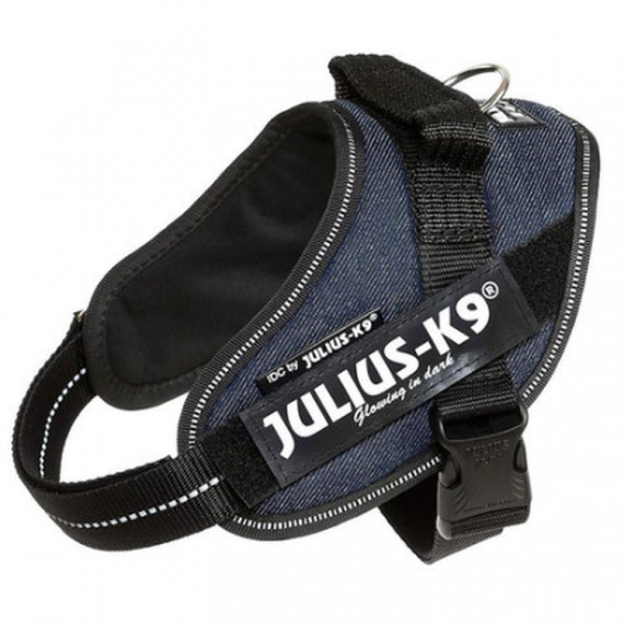 JULIUS K9 Idc Vaquero Talla Mini 49-67 Cm
