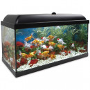 ICA Aqualed Kit Interior Negro 100