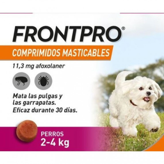 Frontpro 11 Mg 2-4 Kg 1 Comprimido  BOEHRINGER INGLEHEIM