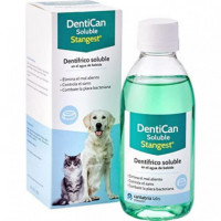 STANGEST Dentican Soluble 500 Ml