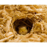 ZOOMED Reptil Sustrato Aspen 4.4 L