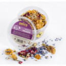 ORYCS Roedor Snack Prado 50 Gr