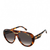 Gafas de Sol Victory C 22/S  CARRERA