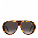 Gafas de Sol Victory C 22/S  CARRERA