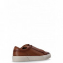 BOSS - Gary_tenn_bu - 401 - 50536619/401