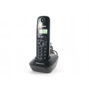 Teléfono Inalámbrico PANASONIC KXTG1611SP Negro