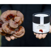 Reishi Ecológico Puro en Polvo Micromolido (50 G)  FUNGINATUR