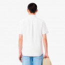 Camisa Oxford Regular Fit de Manga Corta  LACOSTE
