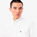 Camisa Oxford Regular Fit de Manga Corta  LACOSTE