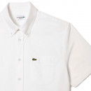 Camisa Oxford Regular Fit de Manga Corta  LACOSTE
