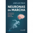 Neuronas en marcha