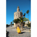 CANON Eos R10 Cuerpo + Mt Adaptador Ef-eos R